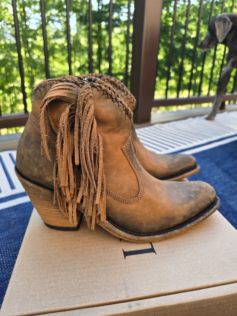 Liberty Black Women's Vegas Faggio Booties - NEW IN BOX